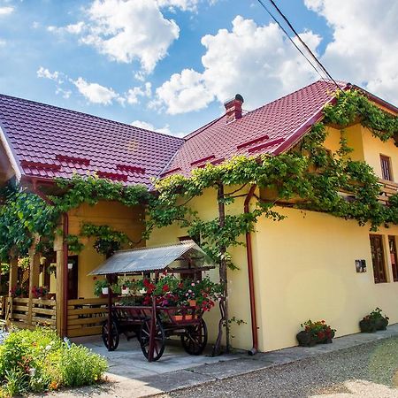 Hotel Casa Andreea Sucevita Exterior foto