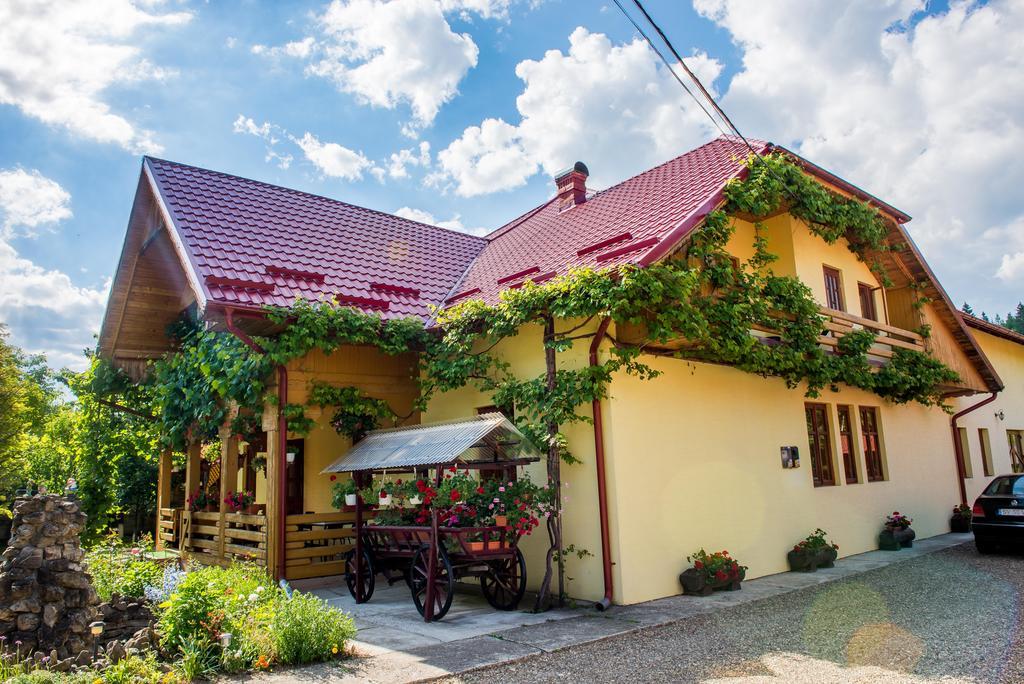 Hotel Casa Andreea Sucevita Exterior foto
